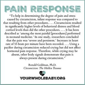 YWB Pain Response.jpg