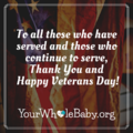 YWB Veterans Day (1).png