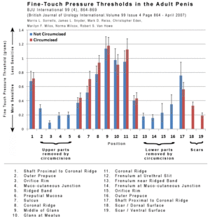 Fine-Touch-Pressure-Thresholds-in-the-Adult-Penis IntactWiki.gif