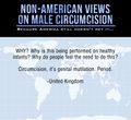68256681098 non american views on the disgusting practice of 6.jpg