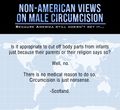 68256726653 non american views on the disgusting practice of 4.jpg
