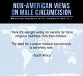68256726653 non american views on the disgusting practice of 7.jpg