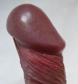 Glans side.jpg
