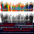 TR intact-vs.-circumcised-(Dr.-Fallier) v.1 (color pencils).jpg