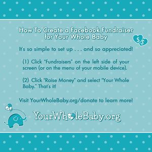 YWB FB Fundraiser How To.jpg