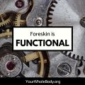 YWB Foreskin Is Functional.jpg