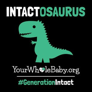 YWB Incognito Generation intact2.jpg