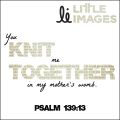 YWB Psalm 139.13.jpg