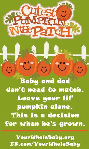 YWB PumpkinPatchMeme.jpg