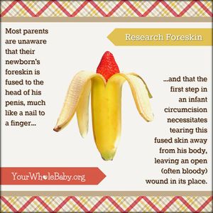 YWB Research Foreskin.jpg