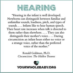 YWB Ronald Goldman Hearing.jpg