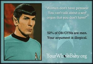 YWB Spock.jpg