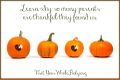 YWB Thanksgiving.jpg